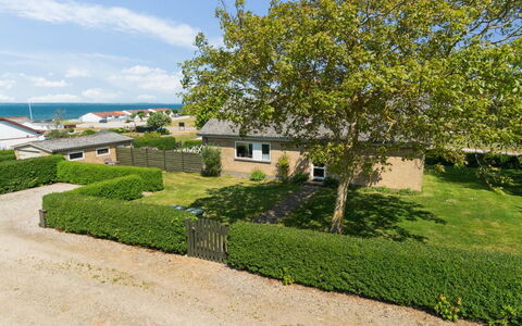 Ambrosius - 75M from the Sea: Plantengemeenschap, Zonlicht, Kruidachtige Plant, Tuin, Plantage, Landbouw, Boerderij