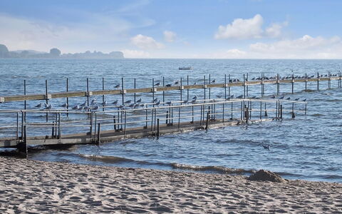 Ebbeline - 150M from the Sea: Zwemwater, Zee, Pier, Horizon, Oceaan, Kust En Oceanic Landvormen, Dok