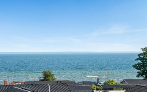 Ebbeline - 150M from the Sea: Plantengemeenschap, Zonlicht, Kruidachtige Plant, Tuin, Plantage, Landbouw, Boerderij