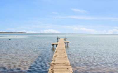 Pedersen - 50M from the Sea