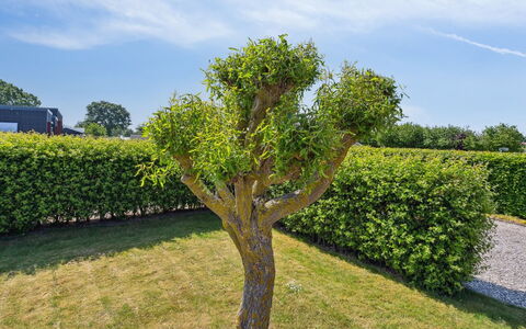 Inge - 300M from the Sea: Blauw, Struik, Verblijf, Groundcover, Tuin, Landgoed, Schaduw, Landscaping, Boerderij, Eco Hotel