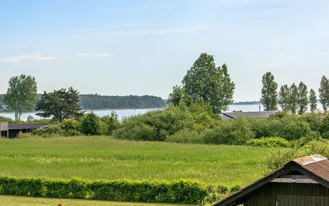 Ellyn - 500M from the Sea: Blauw, Struik, Verblijf, Groundcover, Tuin, Landgoed, Schaduw, Landscaping, Boerderij, Eco Hotel