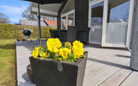 Gunholm - 150M from the Sea: Blauw, Struik, Verblijf, Groundcover, Tuin, Landgoed, Schaduw, Landscaping, Boerderij, Eco Hotel