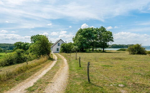 Jeppe - 50M to the Fjord: Groen, Gras, Natuur, Natuurlijk Landschap, Vegetation, Grasland, Landschap, Landelijk Gebied, Land Lot