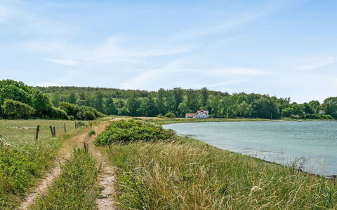Jeppe - 50M to the Fjord: Water, Watervoorraden, Groen, Zwemwater, Natuurlijke Omgeving, Natuurlijk Landschap, Vegetation, Waterloop, Waterweg