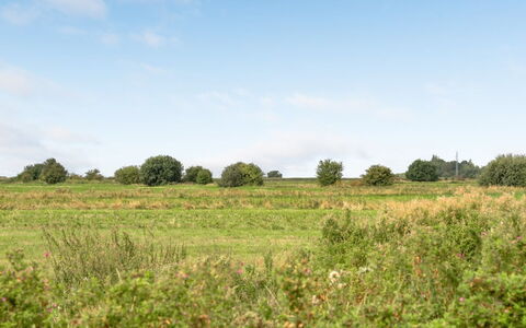 Ewelina - 15Km from the Sea: Lucht, Groen, Natuurlijke Omgeving, Grasland, Vegetation, Natuurlijk Landschap, Wolk, Ecoregio, Plain, Zomer