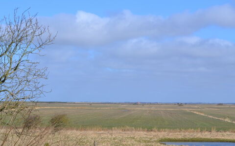 Arik - 700M from the Sea: Dak, Huis, Huis, Verblijf, Deur, Siding, Dek, Veranda, Plank, Hardwood