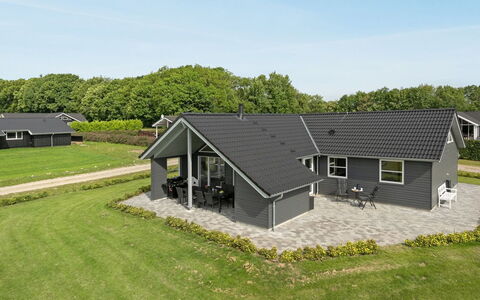 Damiana - 500M from the Sea: Plantengemeenschap, Zonlicht, Kruidachtige Plant, Tuin, Plantage, Landbouw, Boerderij