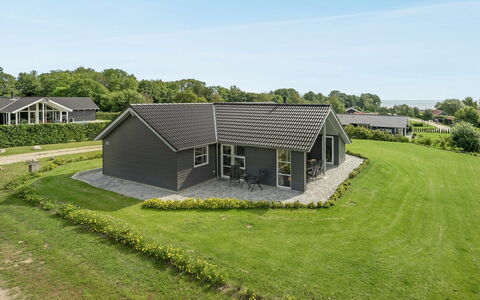 Damiana - 500M from the Sea: Plantengemeenschap, Zonlicht, Kruidachtige Plant, Tuin, Plantage, Landbouw, Boerderij