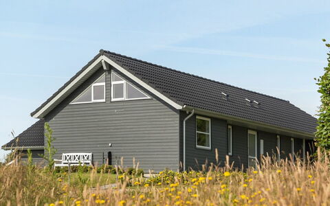 Damiana - 500M from the Sea: Plantengemeenschap, Zonlicht, Kruidachtige Plant, Tuin, Plantage, Landbouw, Boerderij