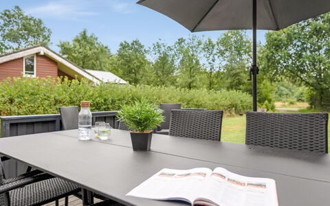 Gurly - 25Km from the Sea: Plantengemeenschap, Zonlicht, Kruidachtige Plant, Tuin, Plantage, Landbouw, Boerderij