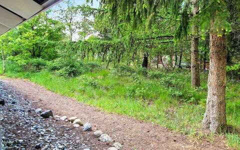 Frederikke - 28Km from the Sea: Groen, Struik, Plantengemeenschap, Groundcover, Trail, Bodem, Tuin, Bos, Jungle, Evergreen