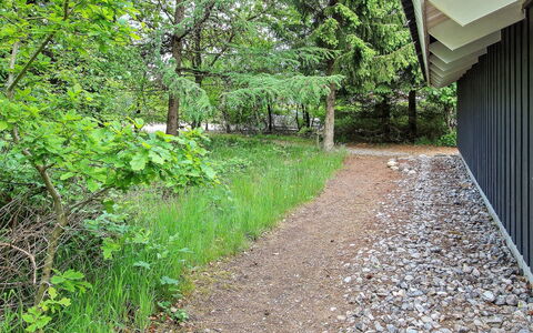 Frederikke - 28Km from the Sea: Blad, Vegetation, Struik, Groundcover, Schaduw, De Lente, Tuin, Woody Plant, Zonlicht, Landscaping