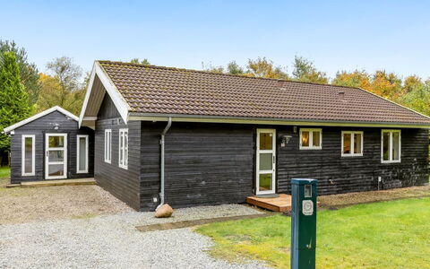 Siiri - 28Km from the Sea: Gras, Grasland, Landschap, Ecoregio, Plain, Plantengemeenschap, Land Lot, Buitenmeubels, Prairie, Shrubland