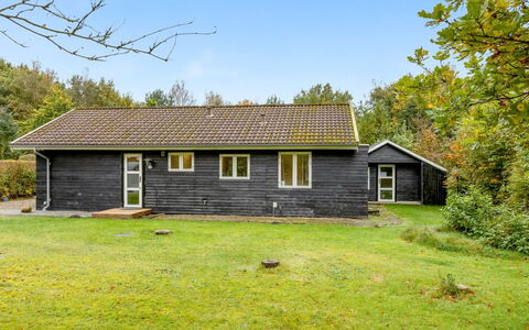 Siiri - 28Km from the Sea: Gras, Grasland, Landschap, Ecoregio, Plain, Plantengemeenschap, Land Lot, Buitenmeubels, Prairie, Shrubland