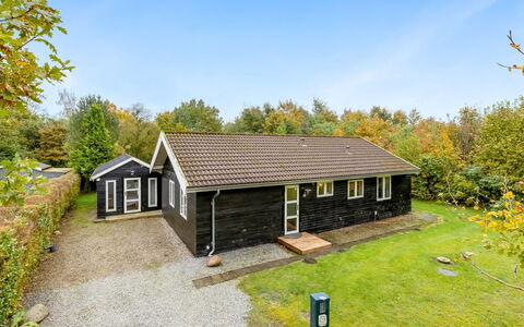 Siiri - 28Km from the Sea: Gras, Grasland, Landschap, Ecoregio, Plain, Plantengemeenschap, Land Lot, Buitenmeubels, Prairie, Shrubland