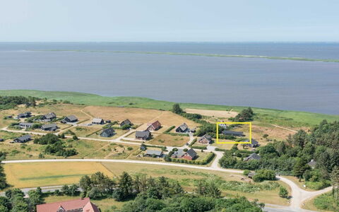 Tindra - 30M to the Fjord: Plantengemeenschap, Zonlicht, Kruidachtige Plant, Tuin, Plantage, Landbouw, Boerderij