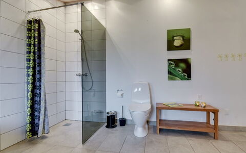 Hilmer - from the Sea: Flooring, Verdieping, Interieur Ontwerp, Loodgieterswerkinrichting, Hout, Badkamer, Loodgieter, Plafond, Verlichting, Toilet