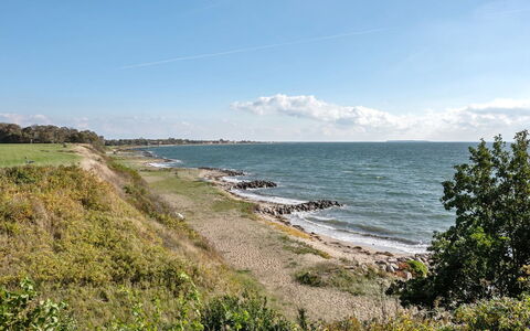 Orsa - 80M from the Sea: Plantengemeenschap, Zonlicht, Kruidachtige Plant, Tuin, Plantage, Landbouw, Boerderij