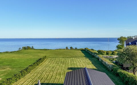 Orsa - 80M from the Sea: Plantengemeenschap, Zonlicht, Kruidachtige Plant, Tuin, Plantage, Landbouw, Boerderij