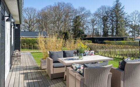 Ovine - 300M from the Sea: Plantengemeenschap, Zonlicht, Kruidachtige Plant, Tuin, Plantage, Landbouw, Boerderij