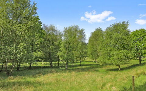 Terese - 45Km from the Sea: Plantengemeenschap, Zonlicht, Kruidachtige Plant, Tuin, Plantage, Landbouw, Boerderij