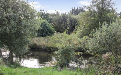 Terese - 45Km from the Sea