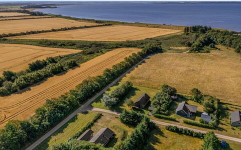 Engeline - 300M to the Fjord: Groen, Natuurlijk Landschap, Landschap, Vogelperspectief, Plain, Luchtfotografie, Ecoregio, Veld, Land Lot, Plantage