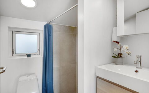 Nielsen - 30M to the Fjord: Flooring, Muur, Loodgieterswerkinrichting, Badkamer, Verdieping, Interieur Ontwerp, Plafond, Toilet, Kraan, Wastafel