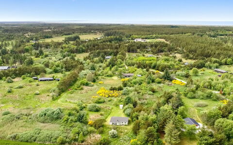 Aameek - 3Km from the Sea: Plantengemeenschap, Zonlicht, Kruidachtige Plant, Tuin, Plantage, Landbouw, Boerderij