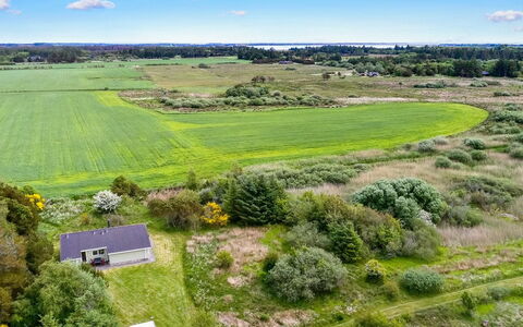Aameek - 3Km from the Sea: Plantengemeenschap, Zonlicht, Kruidachtige Plant, Tuin, Plantage, Landbouw, Boerderij