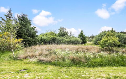 Aameek - 3Km from the Sea: Plantengemeenschap, Zonlicht, Kruidachtige Plant, Tuin, Plantage, Landbouw, Boerderij