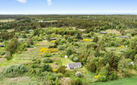 Aameek - 3Km from the Sea: Plantengemeenschap, Zonlicht, Kruidachtige Plant, Tuin, Plantage, Landbouw, Boerderij