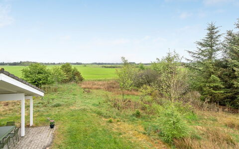 Aameek - 3Km from the Sea: Plantengemeenschap, Zonlicht, Kruidachtige Plant, Tuin, Plantage, Landbouw, Boerderij