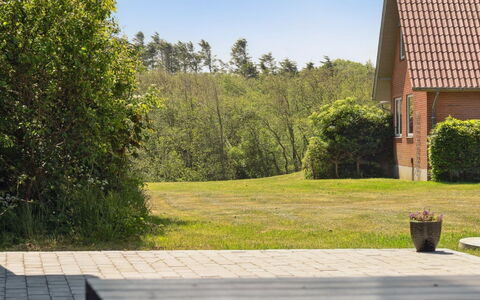 Markhild - 300M to the Fjord: Plantengemeenschap, Zonlicht, Kruidachtige Plant, Tuin, Plantage, Landbouw, Boerderij