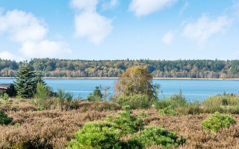 Tordis - 250M to the Fjord: Architectuur, Dak, Huis, Samengesteld Materiaal, Daylighting, Siding, Oprit
