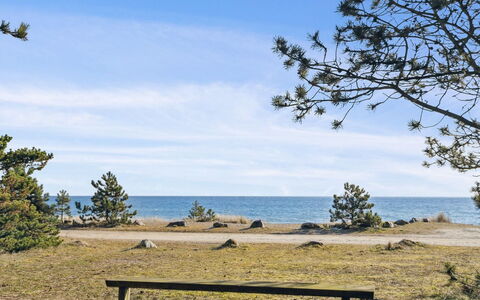 Keyla - 50M from the Sea: Dak, Huis, Huis, Verblijf, Siding, Landgoed, Oprit, Garden Gebouwen, Werf, Schuur