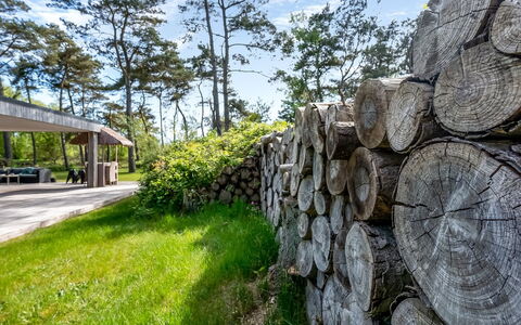 Sylva - 150M from the Sea: Dak, Huis, Huis, Verblijf, Siding, Landgoed, Oprit, Garden Gebouwen, Werf, Schuur