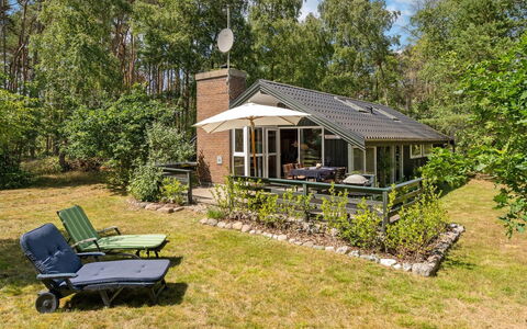 Herlek - 200M from the Sea: Dak, Huis, Huis, Verblijf, Siding, Landgoed, Oprit, Garden Gebouwen, Werf, Schuur