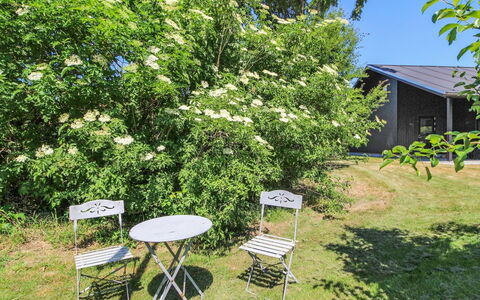 Rufina - 850M from the Sea: Struik, De Lente, Tuin, Schaduw, Backyard, Hortensia, Rose Family, Plantage
