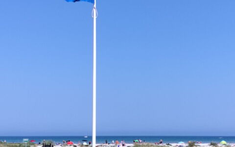 Line - 10M from the Sea: Huis, Dak, Huis, Verblijf, Schuur, Garden Gebouwen, Siding, Werf, Blokhut, Hut