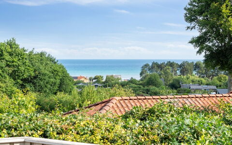 Ludewiga - 350M from the Sea: Lucht, Blauw, Groen, Struik, Plantengemeenschap, Oceaan, Schaduw, Eco Hotel, Landscaping, Hek