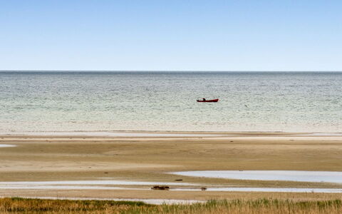 Elpida - 100M from the Sea: Dak, Huis, Huis, Verblijf, Siding, Landgoed, Oprit, Garden Gebouwen, Werf, Schuur