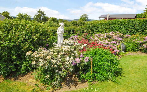 Annabeth - 300M to the Fjord: Bloem, Tuin, Struik, Roze, Plantengemeenschap, Groundcover, De Lente, Bloeiende Plant, Purper