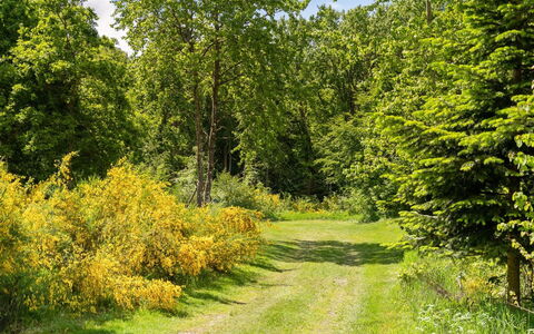 Gunward - 1.5Km from the Sea: Woongebied, Dak, Voorstad, Oprit, Landgoed, Schoorsteen