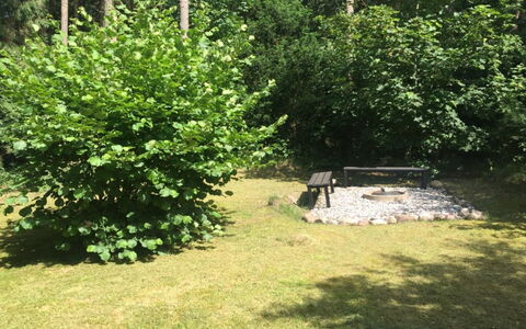 Ruka - 350M from the Sea: Struik, Tuin, Evergreen, Oeverzone, Backyard, Buitenmeubels