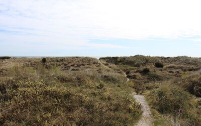 Alexi - 150M from the Sea