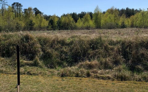 Veiko - 1.2Km from the Sea: Hout, Huis, Veranda, Dek, Hardwood, Dak, Beits, Houten Vloer, Eco Hotel