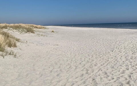 Veiko - 1.2Km from the Sea: Hout, Huis, Veranda, Dek, Hardwood, Dak, Beits, Houten Vloer, Eco Hotel