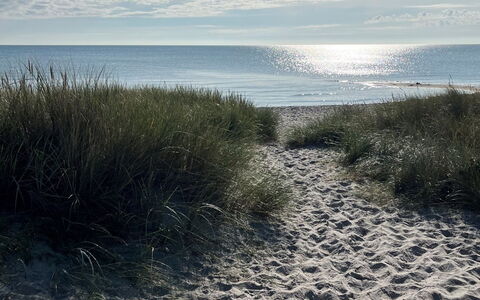 Veiko - 1.2Km from the Sea: Hout, Huis, Veranda, Dek, Hardwood, Dak, Beits, Houten Vloer, Eco Hotel